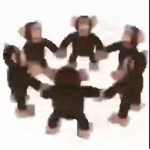 Monkey sweats