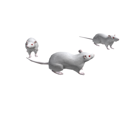 White Albino Rats Around You thumbnail