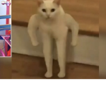 Oofy dude