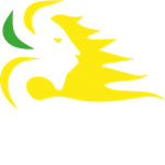 Yellowlion8