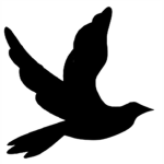 Dove  ®