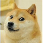 N.a.f doges!