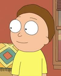the Citadel Of Morty