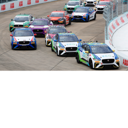 Race