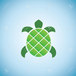 Turtle Muesum icon