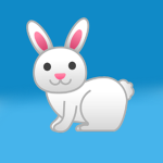 Bunny Team! Official