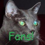 GrayCat118 fans group!!!