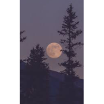 ‘-‘Aesthetic moon’-‘