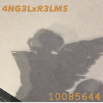 4NG3LxR3LM$