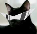 Blox’s fan Group