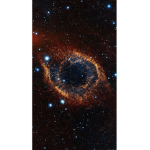 The Everen