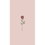 Rosey Blossom