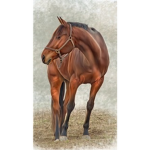 Our Sweet Horse Group