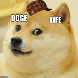 Doge Universe [nft]