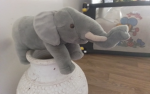 Ezzy elephants group!