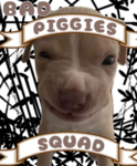Bad Piggies Squad