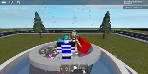 Blu Jay hang out