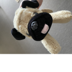 Olivia’s pug world