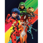 Ladybug team