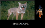 coyote clan:special ops