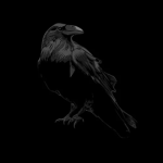 RavenUnSocialist