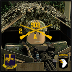 A CO, 2-502 INF BN, 2ND MBCT, 101ST ABN DIV