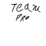 Team Pro idk