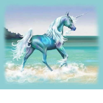 Unicorns dreams
