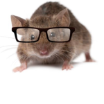 tHe bEaUtIfUl mAtErIaL rAtS GRRR