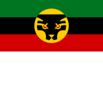 The Army Of Wakanda