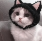 Hai PEOPLE I DONT KNOW