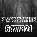 [DS] White and Black Gang