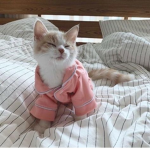 soft floral