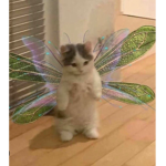 ANGELIC KITTY FAIRYZ