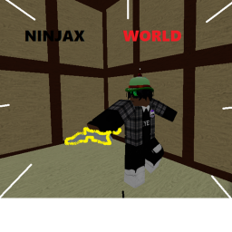 Ninja World