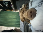 PeanutButter__