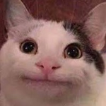 CheesyNuggetZ