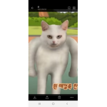 빅제티