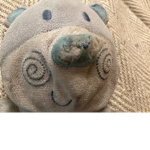 The bears are back