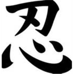United Shinobi Force