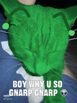 Frwenly hamsterz:3