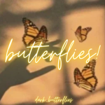 butterflies _