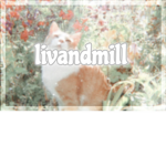 liv and mill