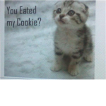 cookie wuvers