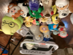 Dominus families
