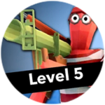 Level 5