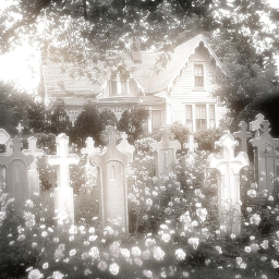 ✿