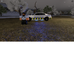 Force RP