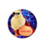 Chicken Army (official)
