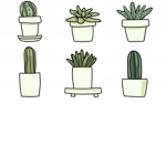 Cactus squad fan group